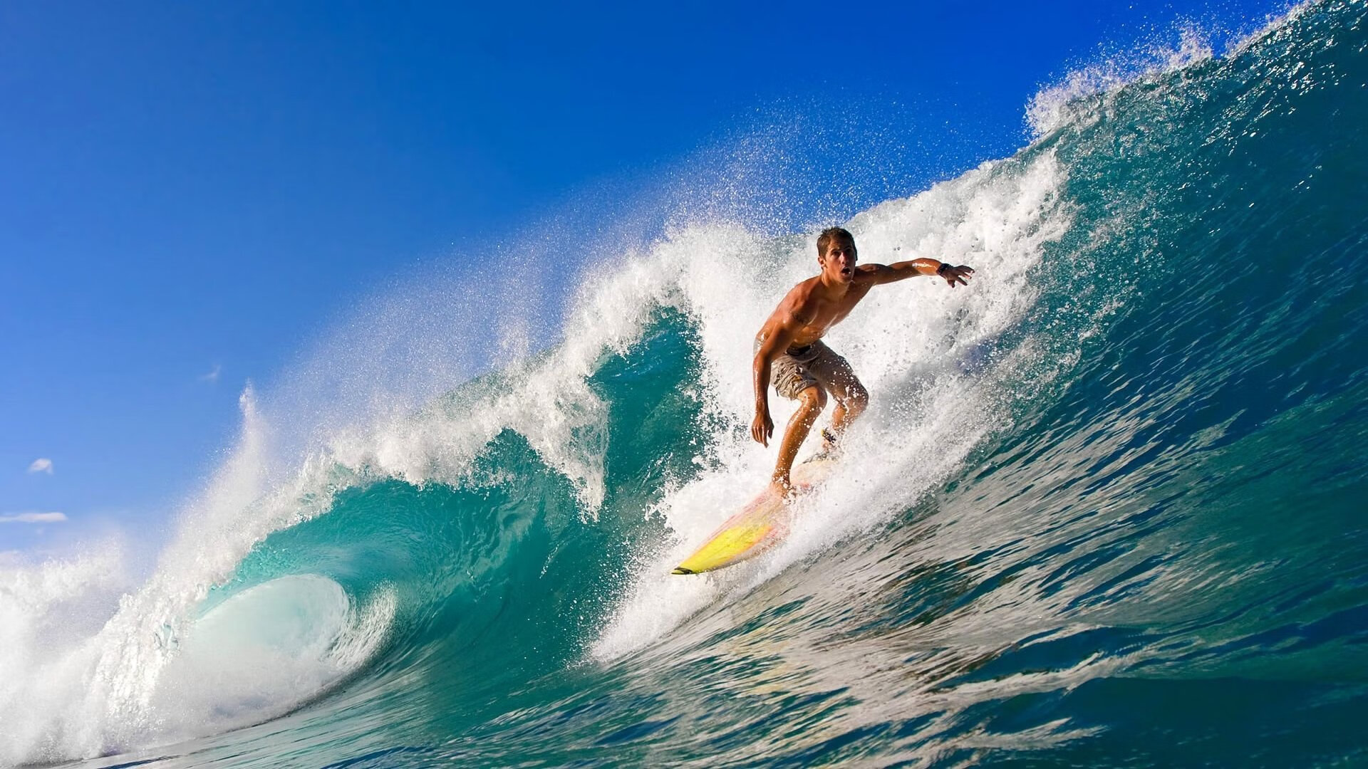 牙买加青少年运动训练营火热招生,牙买加教育